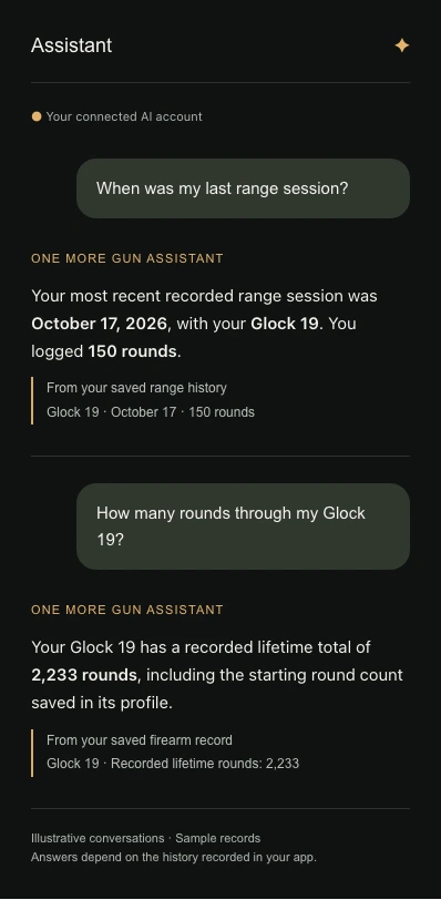 Illustrative One More Gun Assistant conversations using sample records