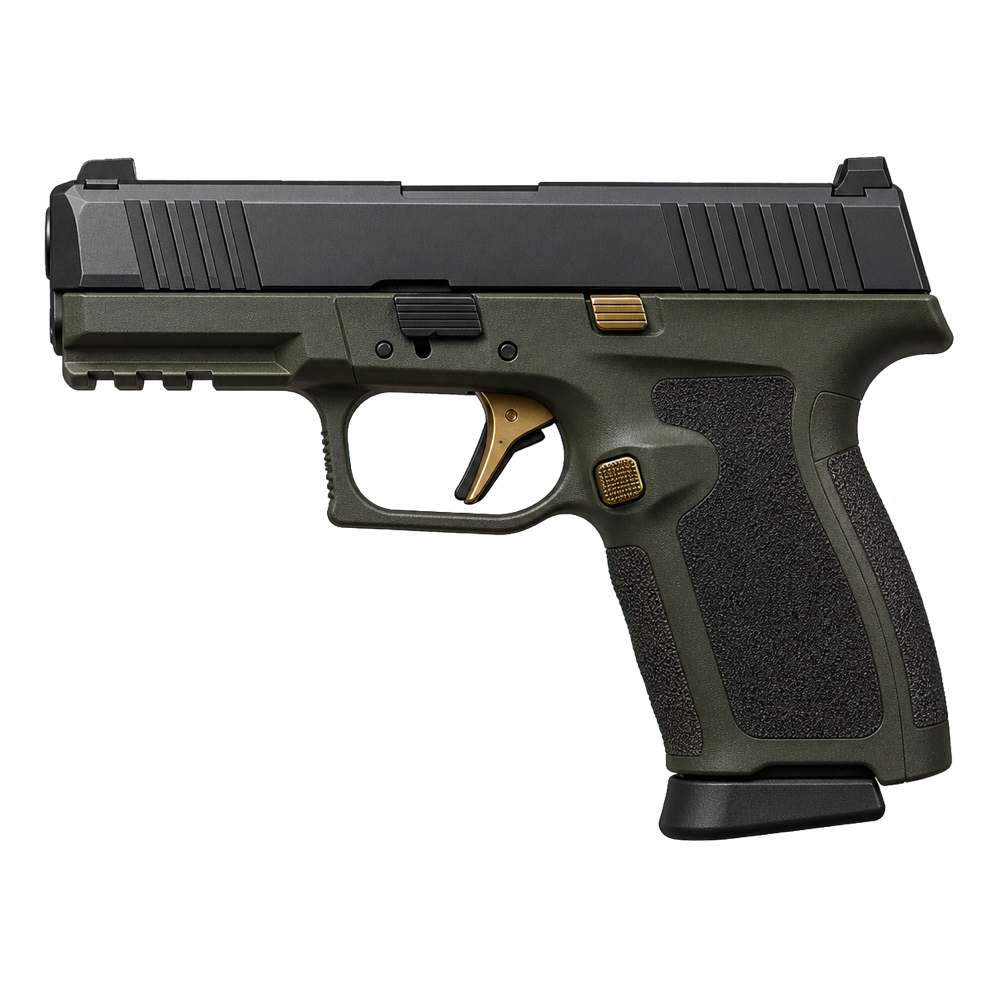 Pistol example